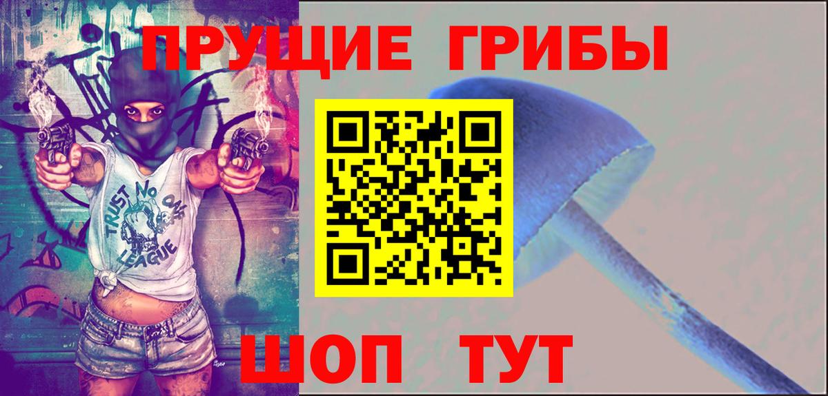 Галлюциногенные грибы MAGIC MUSHROOMS  Вход с VPN  Красноперекопск  Псилоцибиновые грибы GOLDEN TEACHER 